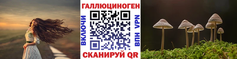 Псилоцибиновые грибы Magic Shrooms  Ставрополь 